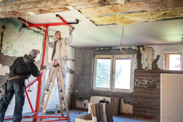 Best Insulation Installation Services in Buffalo, TX