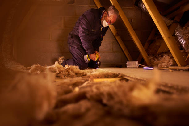 Best Types of Insulation in Buffalo, TX